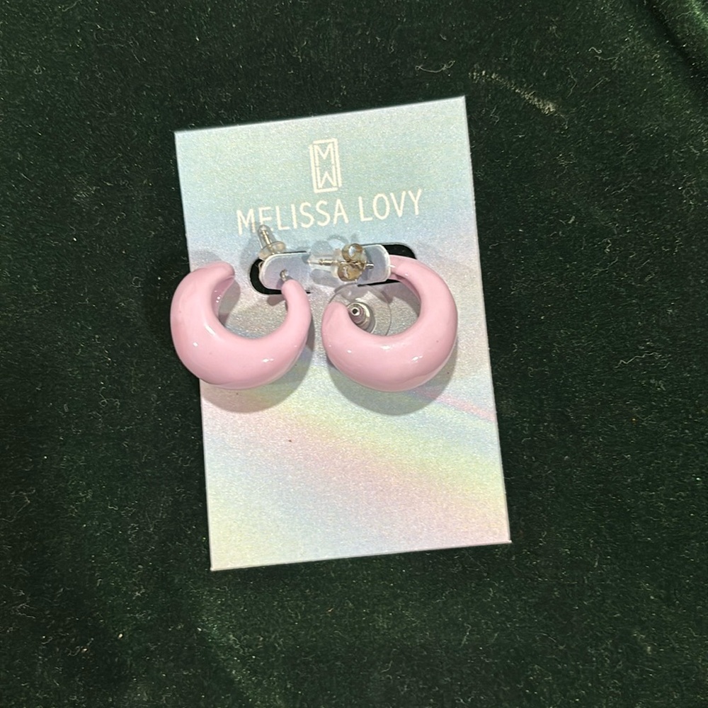 Medium sized hoops NWT 
Addison hoops